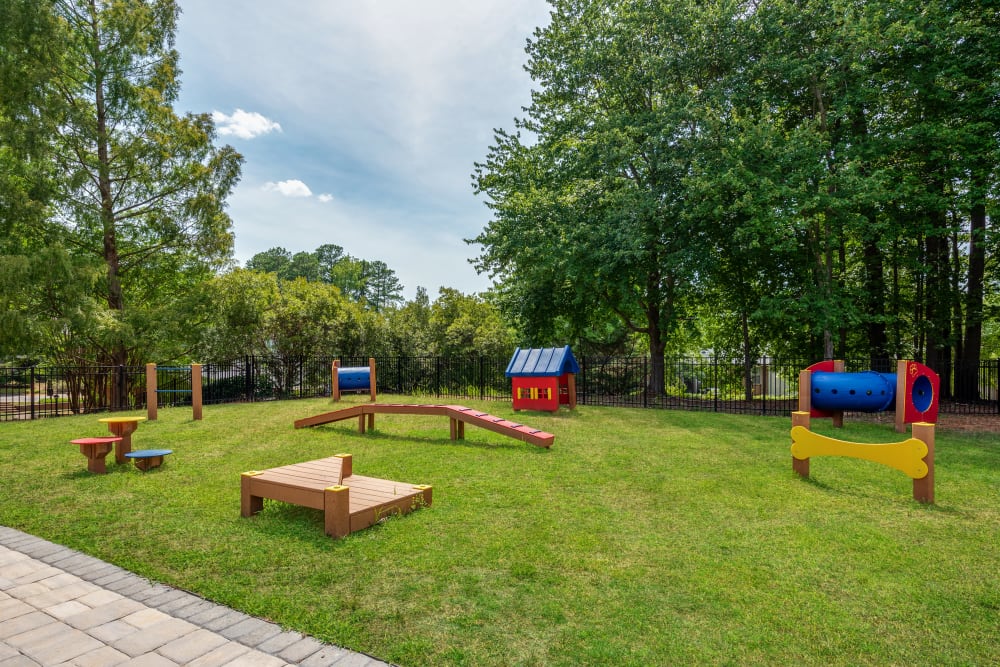 Onsite dog park with agility equipment at Averelle North Hills in Raleigh, North Carolina