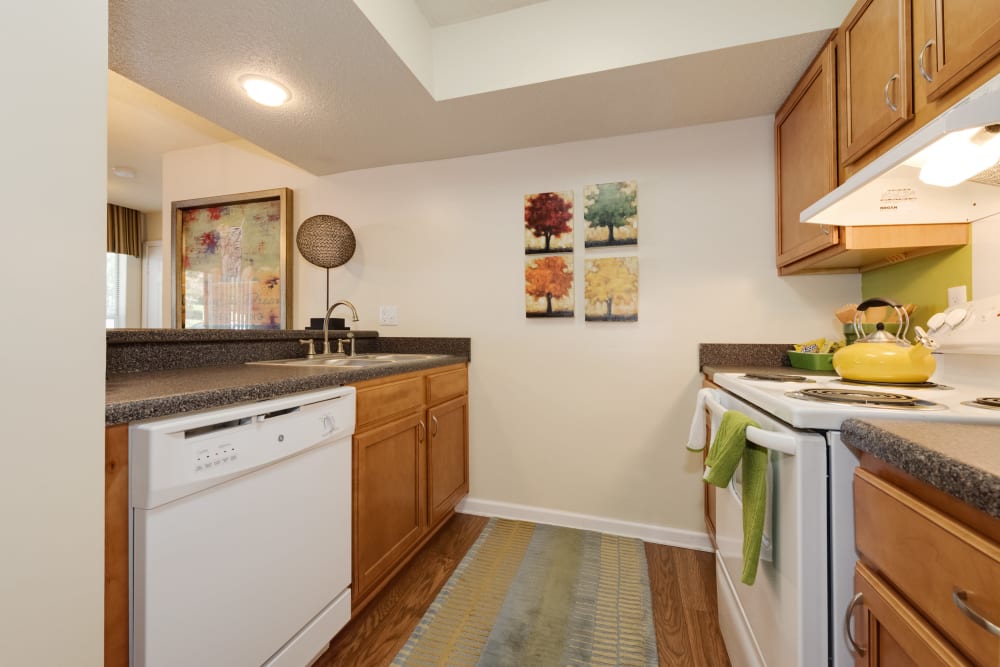 Model kitchen with dishwasher at Triangle Place in Durham, North Carolina