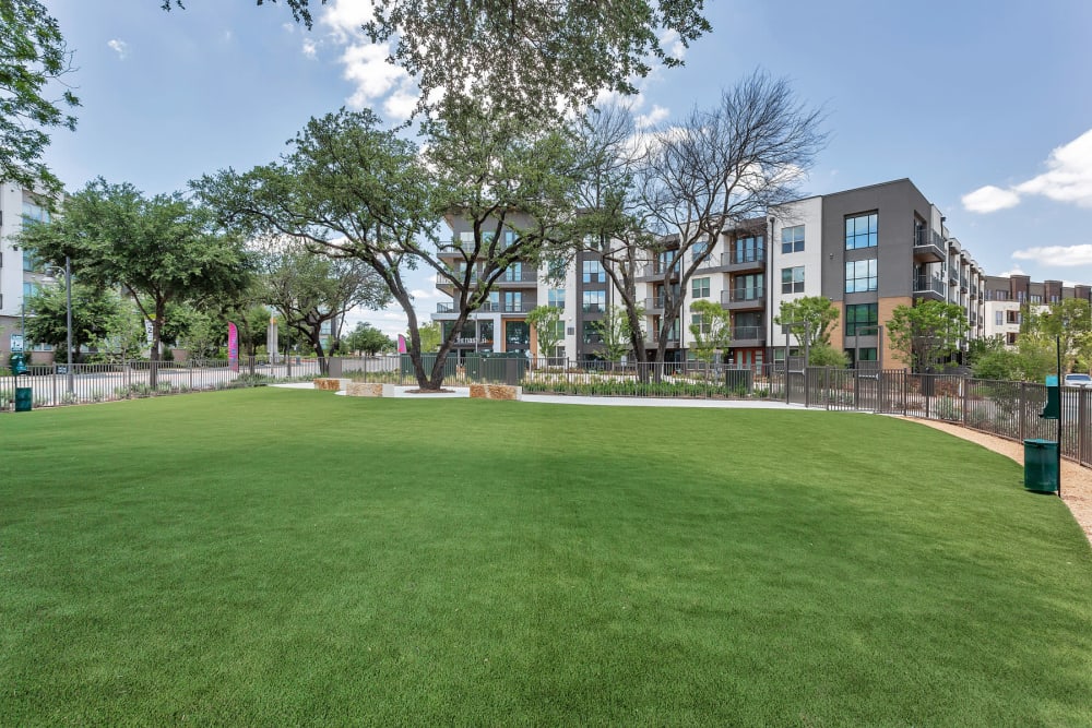 Expansive dog park with green grass at The Nash in Dallas, Texas