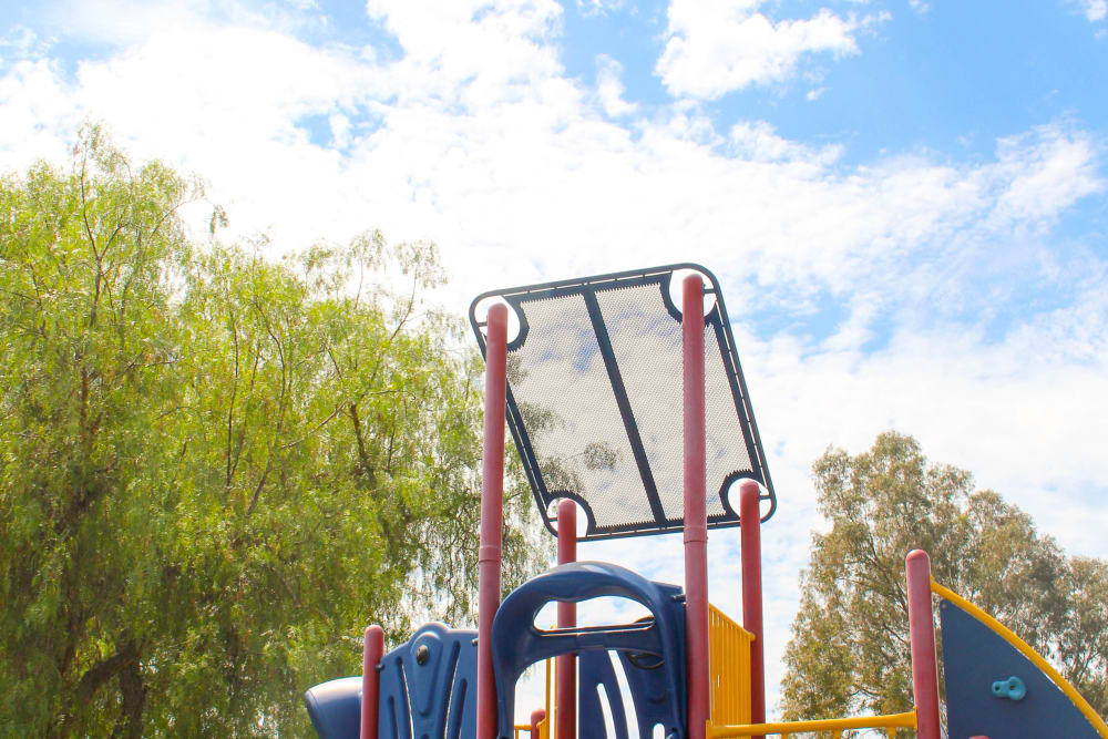 A playground and trees at Canyon View in San Diego, California