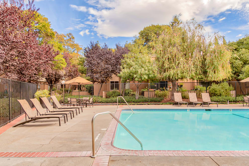 Swimming pool and sundeck at Greenpointe Apartment Homes in Santa Clara, CA