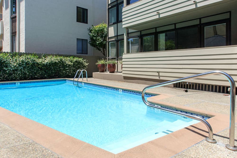 swimming pool at Alta off the Avenue in Burlingame, California