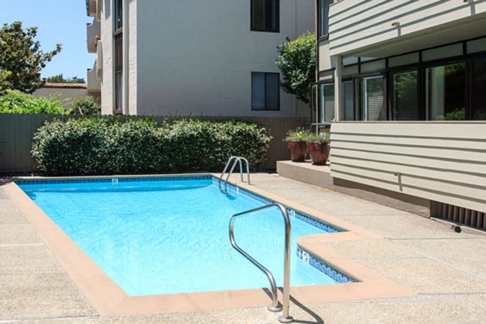 swimming pool with stairs to entry at Alta off the Avenue in Burlingame, California