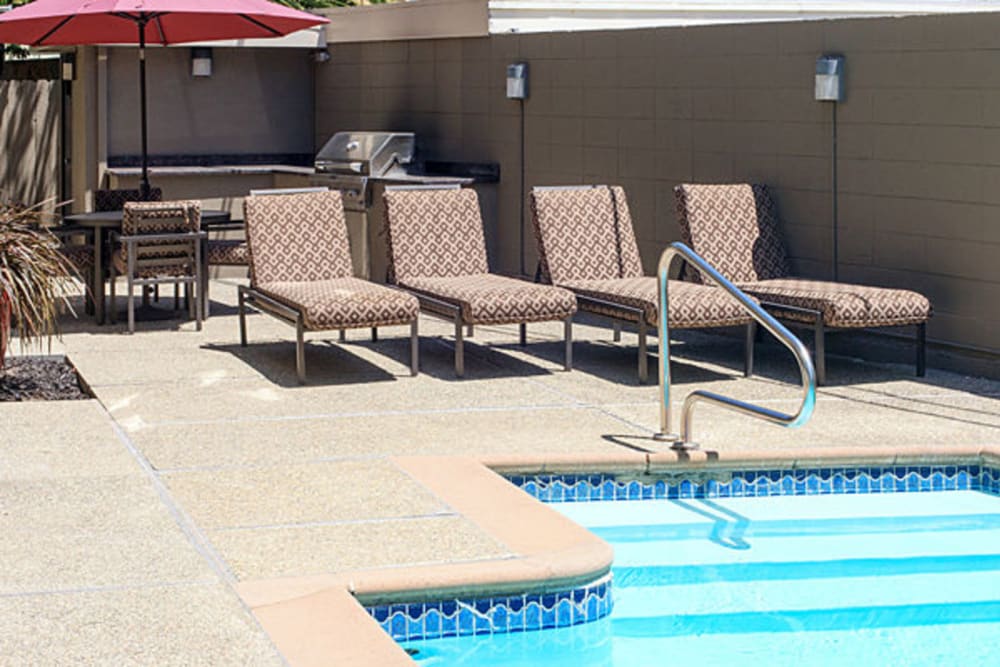 swimming pool with lounge chairs at Alta off the Avenue in Burlingame, California