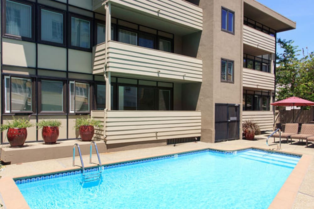 swimming pool at Alta off the Avenue in Burlingame, California