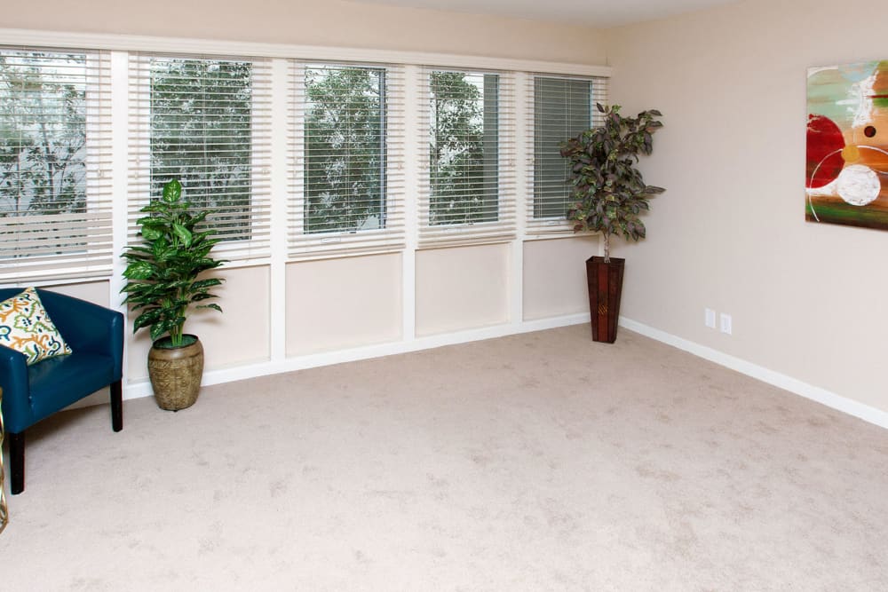 large windows in living space at Alta off the Avenue in Burlingame, California