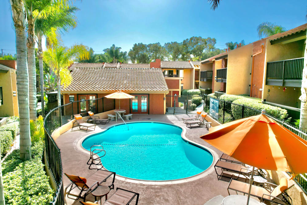 Beautiful resort-style swimming pool with lounge chairs and palm trees at Shadow Ridge Apartments in Oceanside, California