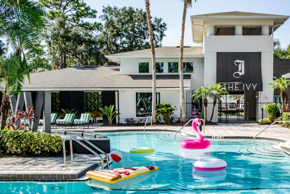 Refreshing swimming pool with floaties to play on at The Ivy in Tampa, Florida