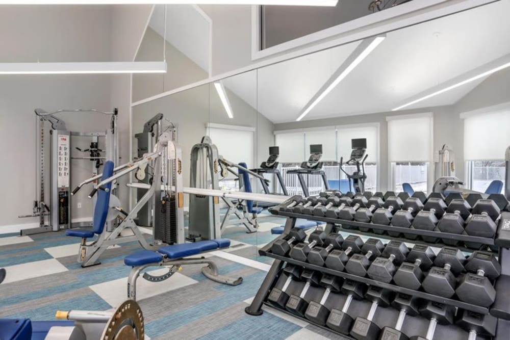 Free weights in the well-equipped fitness center at Briar Cove Terrace Apartments in Ann Arbor, Michigan