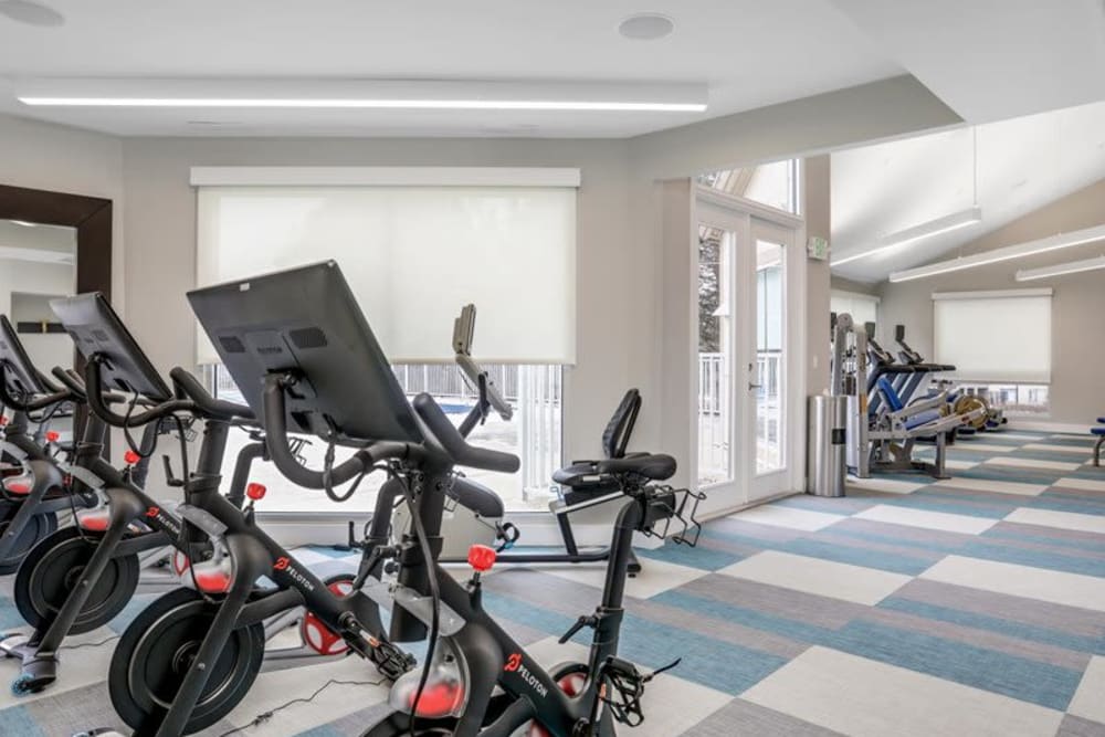 Spin bikes in the fitness center at Briar Cove Terrace Apartments in Ann Arbor, Michigan
