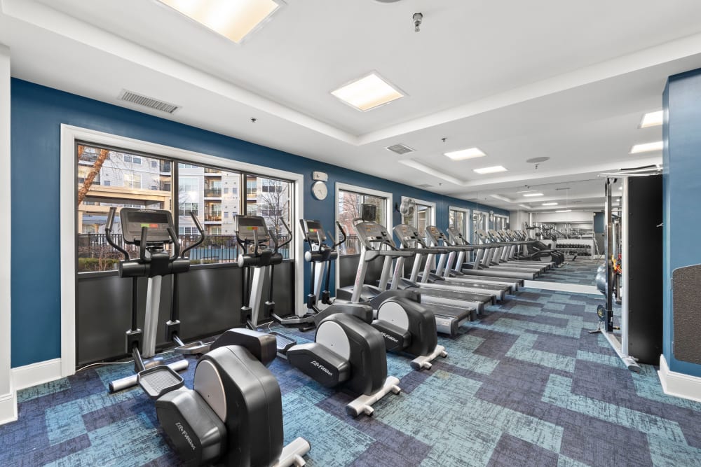 Lots of equipment for any kind of exercise in the fitness center at Sofi Lyndhurst in Lyndhurst, New Jersey