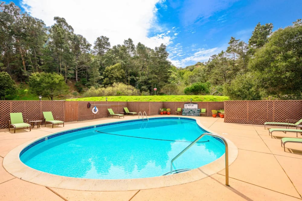 Refreshing swimming pool on a sunny day at Hillside Garden in San Mateo, California