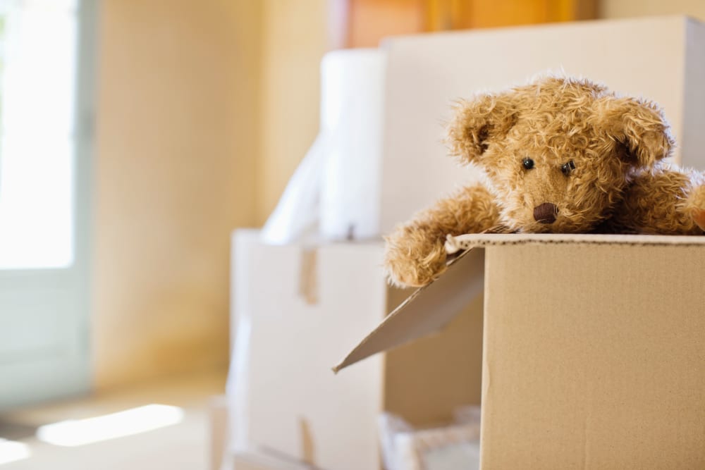 a teddy bear being packed at American Self Storage – Clayton East in Clayton, North Carolina