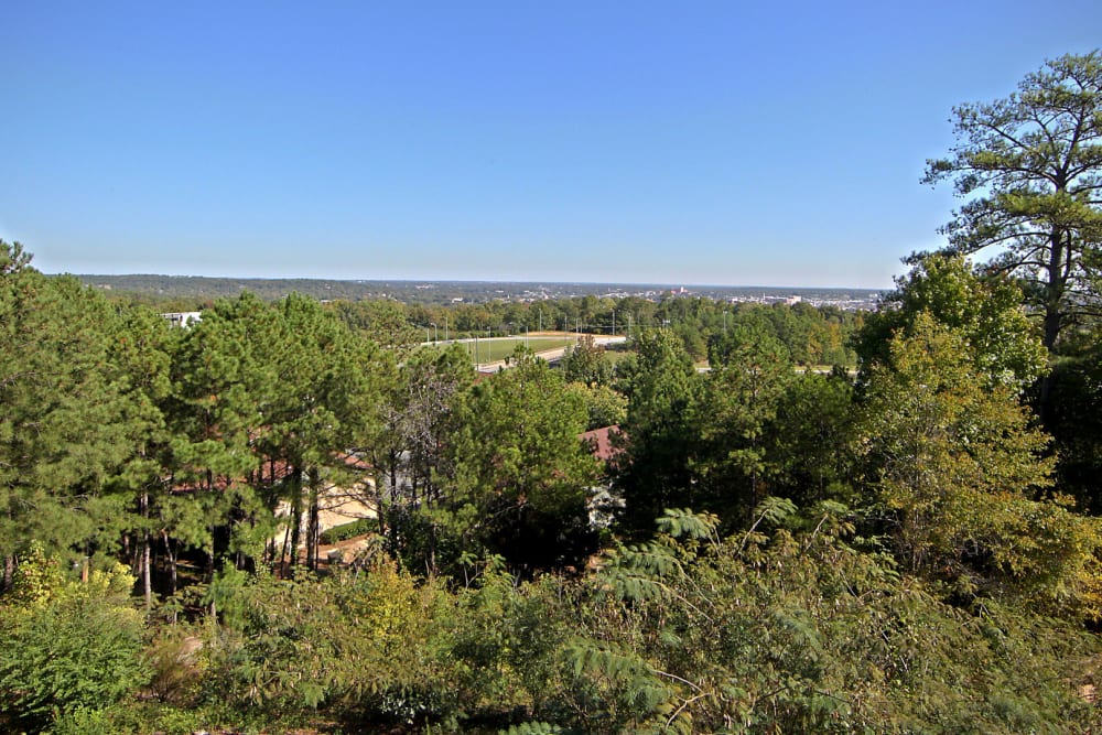 Forest near Post Ridge in Phenix City, Alabama