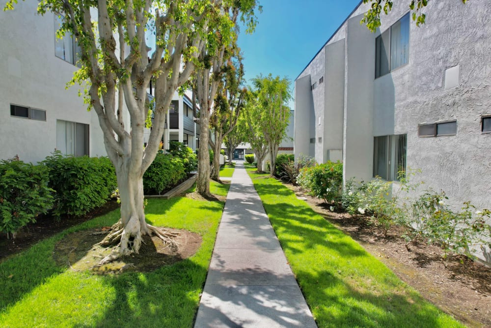 Building surrounded by a lush green landscape at Kendallwood Apartments in Whittier, California