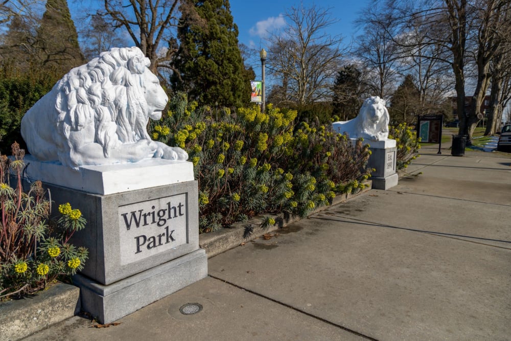 Wright park lion statues near The Lex in Tacoma, Washington
