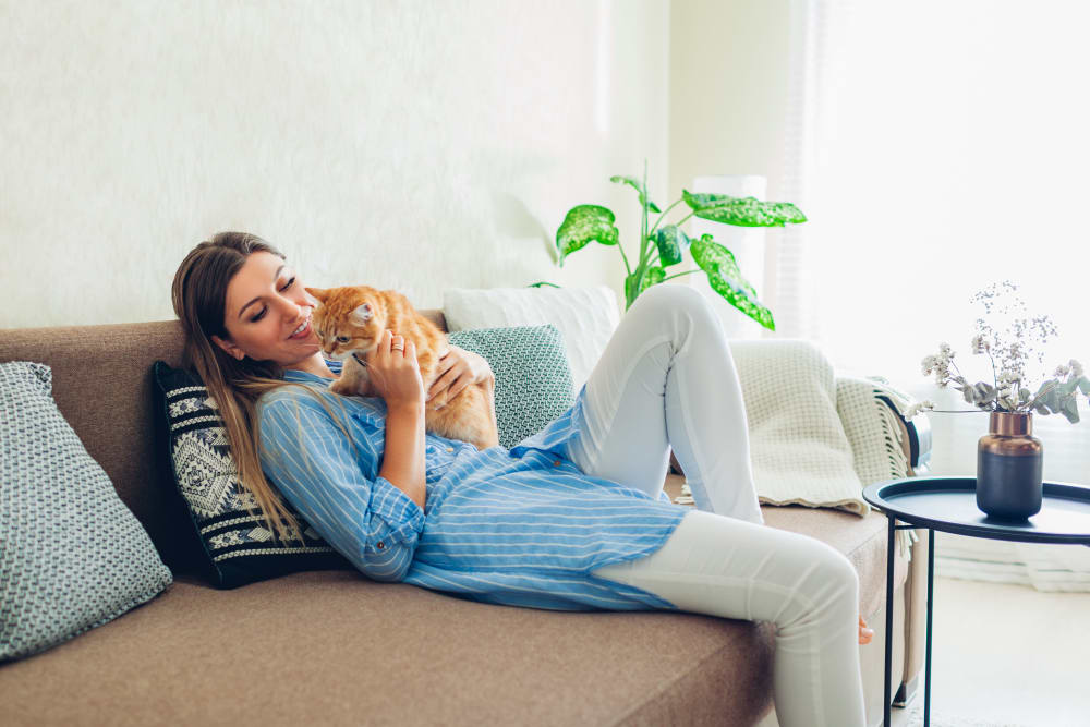 Resident relaxing with her cat in their pet-friendly home at Vineland Village Apartment Homes in Vineland, New Jersey