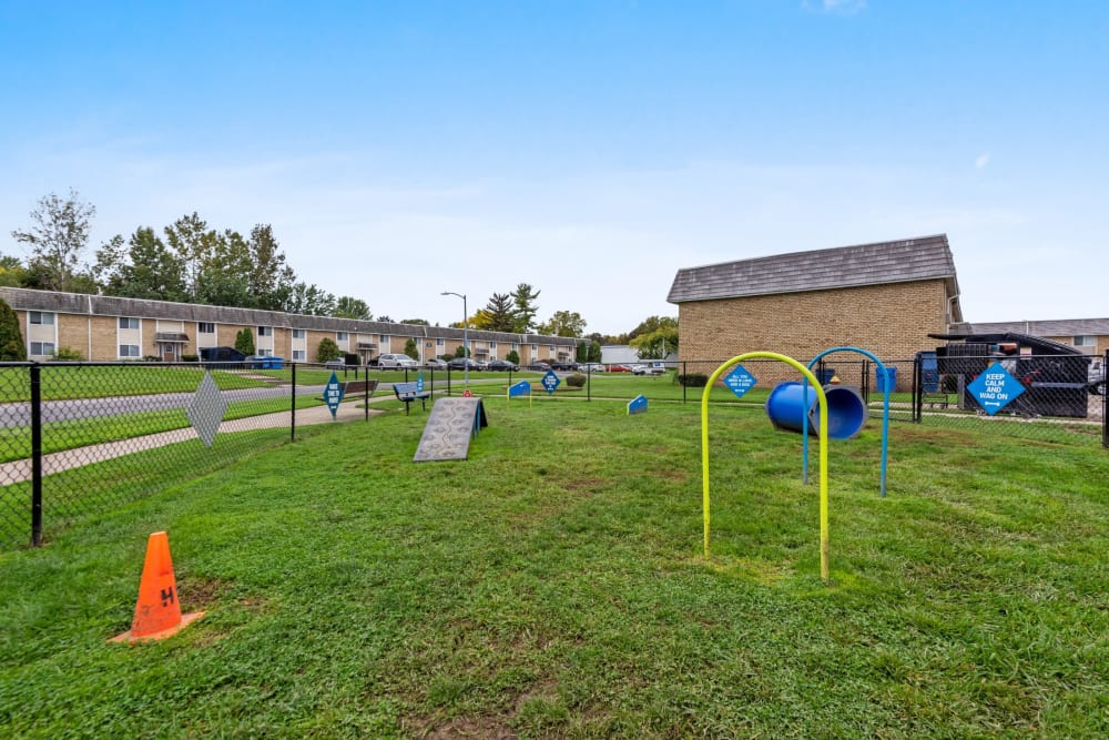 Dog park with agility equipment at Hilton Village II Apartments in Hilton, New York