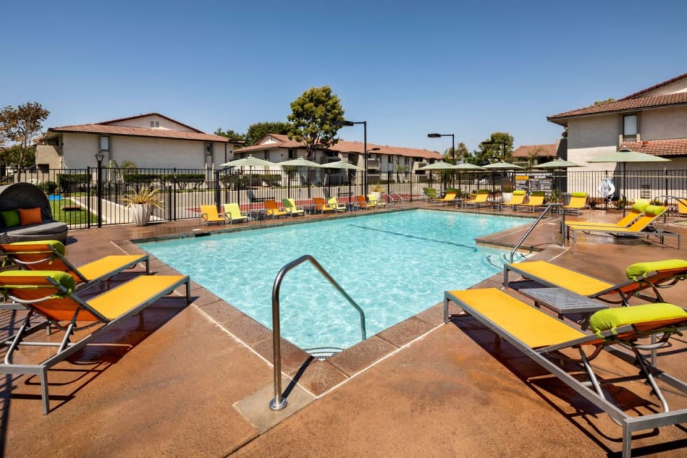 In-ground pool with outdoor lounge chairs at Cassia Apartments in Santa Maria, California