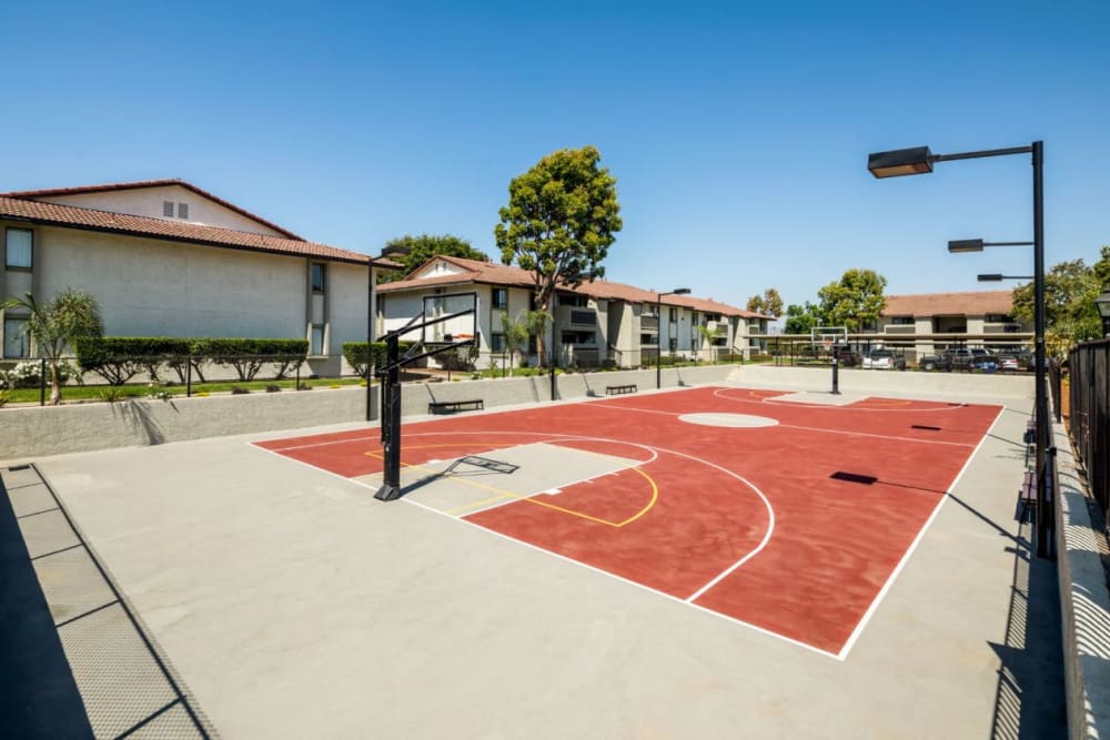 Large basketball court at Cassia Apartments in Santa Maria, California