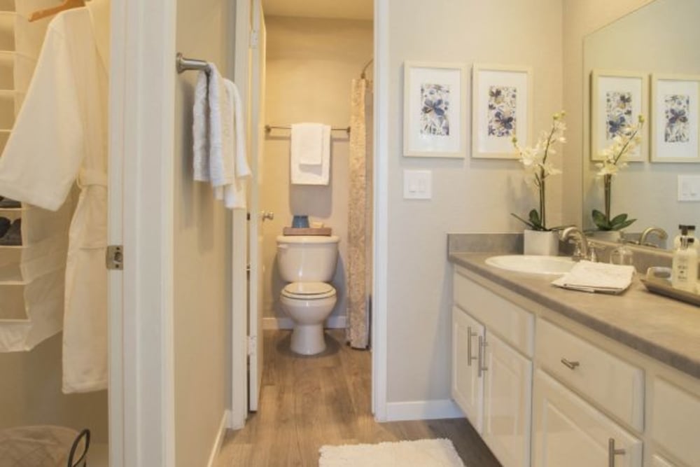 Bathroom at Cassia Apartments in Santa Maria, California