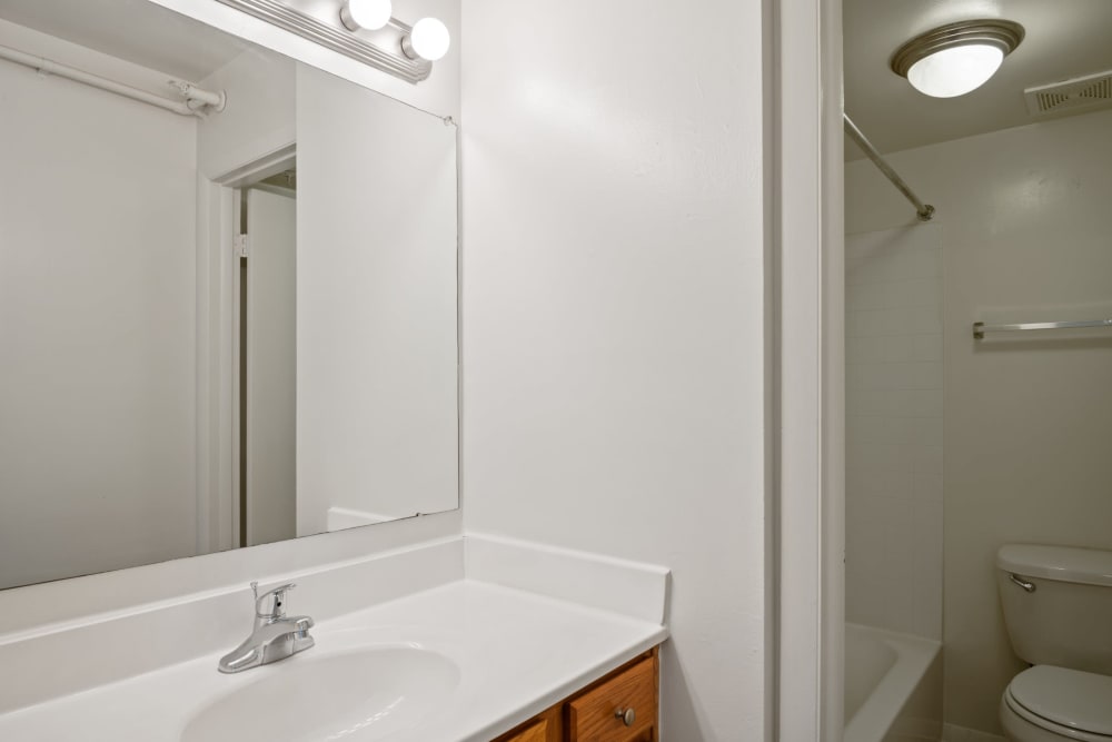 Bathroom at Cedar Gardens and Towers Apartments & Townhomes in Windsor Mill, MD