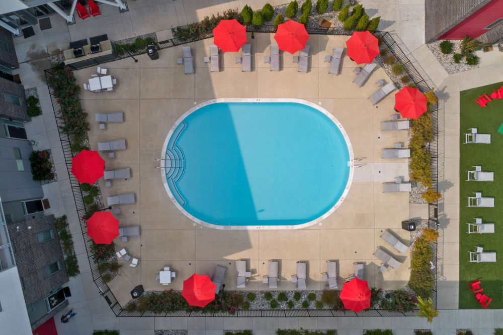 Aerial pool view of SYMBOL Scott's Addition in Richmond, Virginia