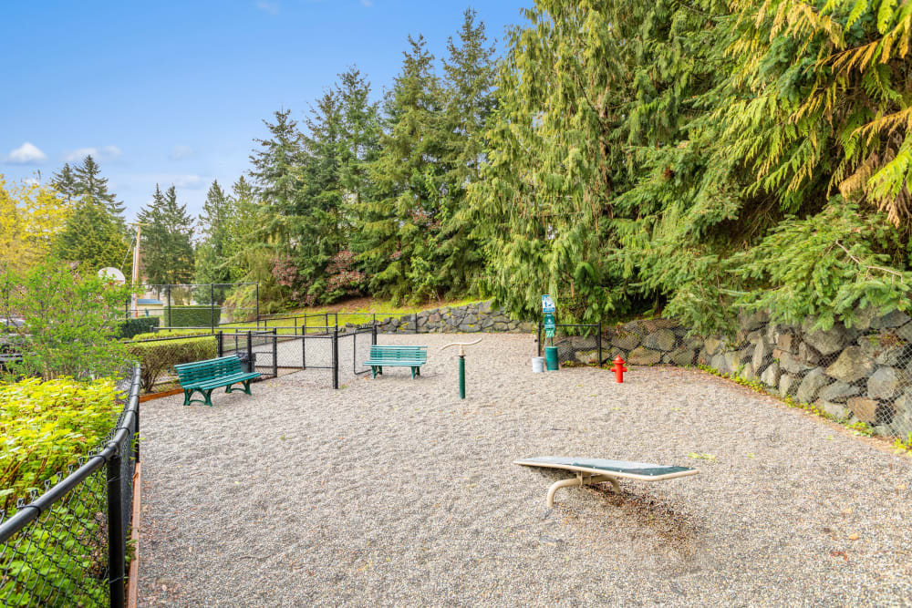 The community dog park at Brookside Village in Auburn, Washington
