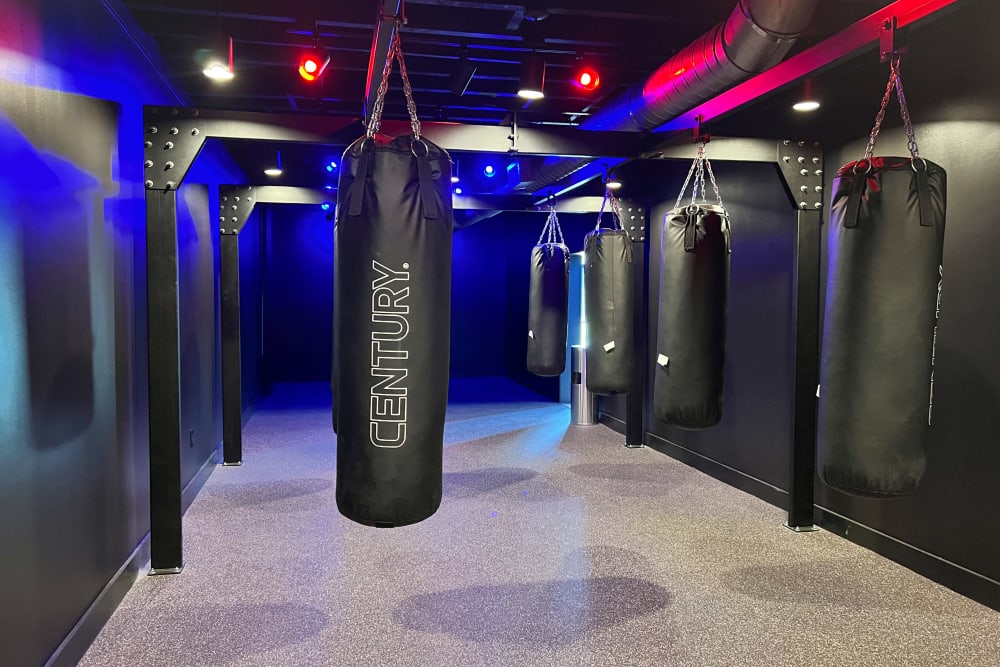 Fitness Center punching bags at Lofts at Riverwalk in Columbus, Georgia
