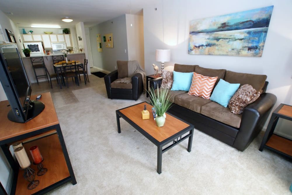 Cozy apartment at Campus Crossings in Murfreesboro, Tennessee