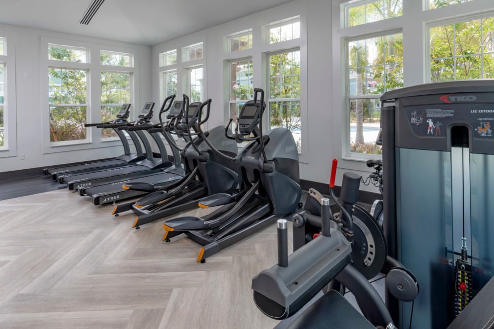 1-BR Apartments in Lutz, FL - Sage at Cypress - State-of-the-Art Fitness Center with Strength Equipment, Treadmills, and Large Windows