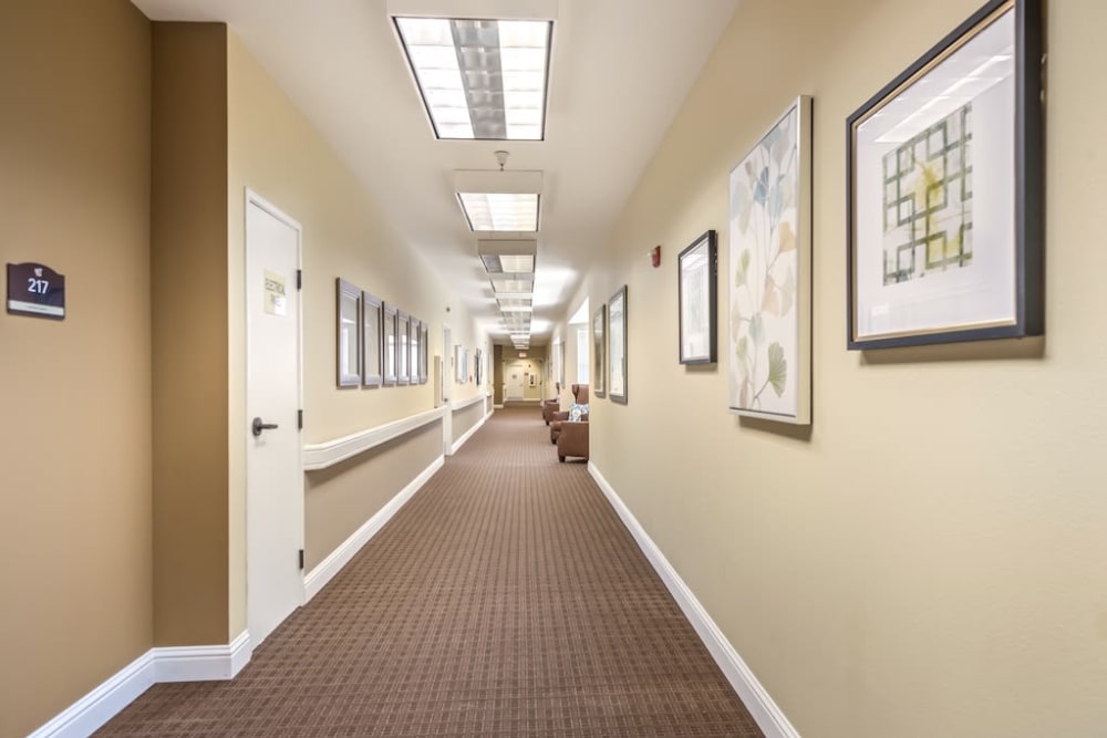 Hallway with art decorations at Pacifica Senior Living Merced in Merced, California