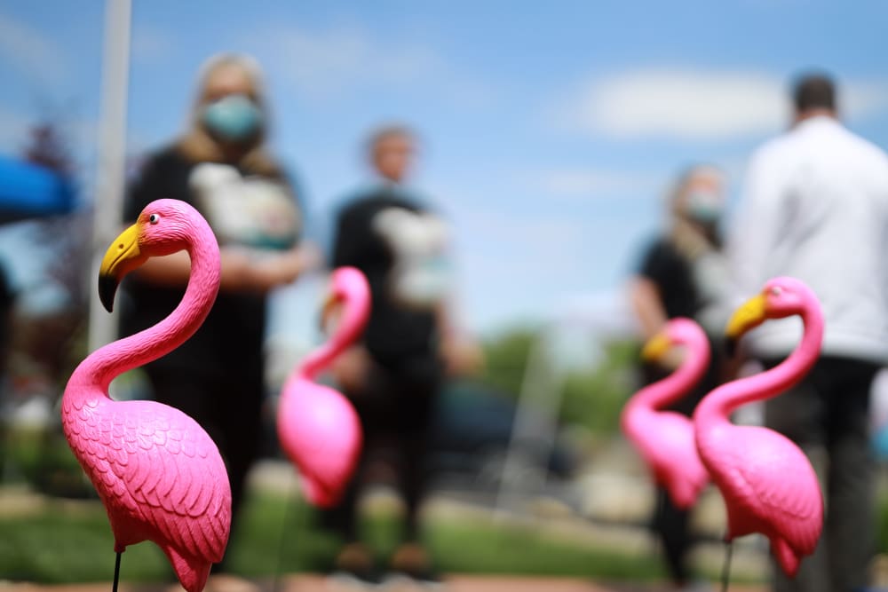 Staff standing behind a group of flamingo garden decorations at The Wildwood Senior Living in Joplin, Missouri
