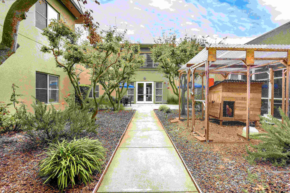 Outdoor walking paths at Pacifica Senior Living Mission Villa in Daly City, California