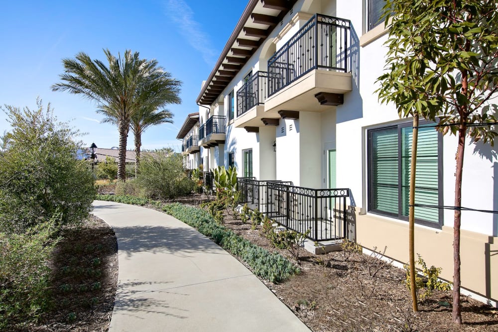 Outdoor walking paths at Pacifica Senior Living Oceanside in Oceanside, California