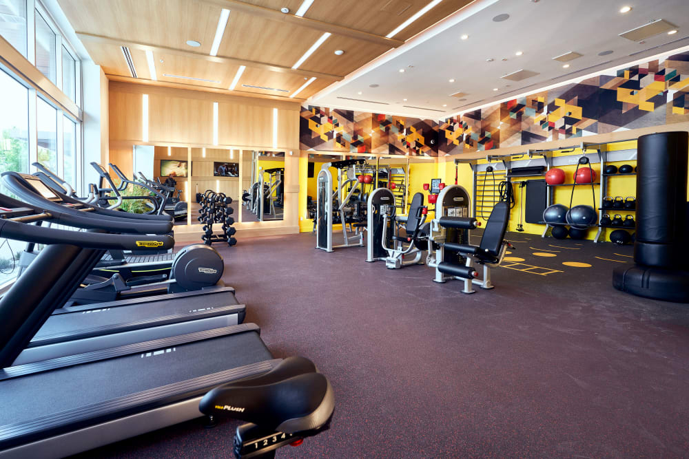Fitness Center at The Linden in Long Beach, California