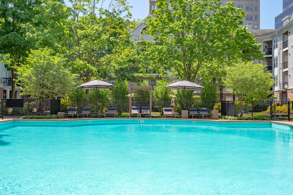 Beautifully landscaped courtyard with a bench at Sofi Parc Grove in Stamford, Connecticut