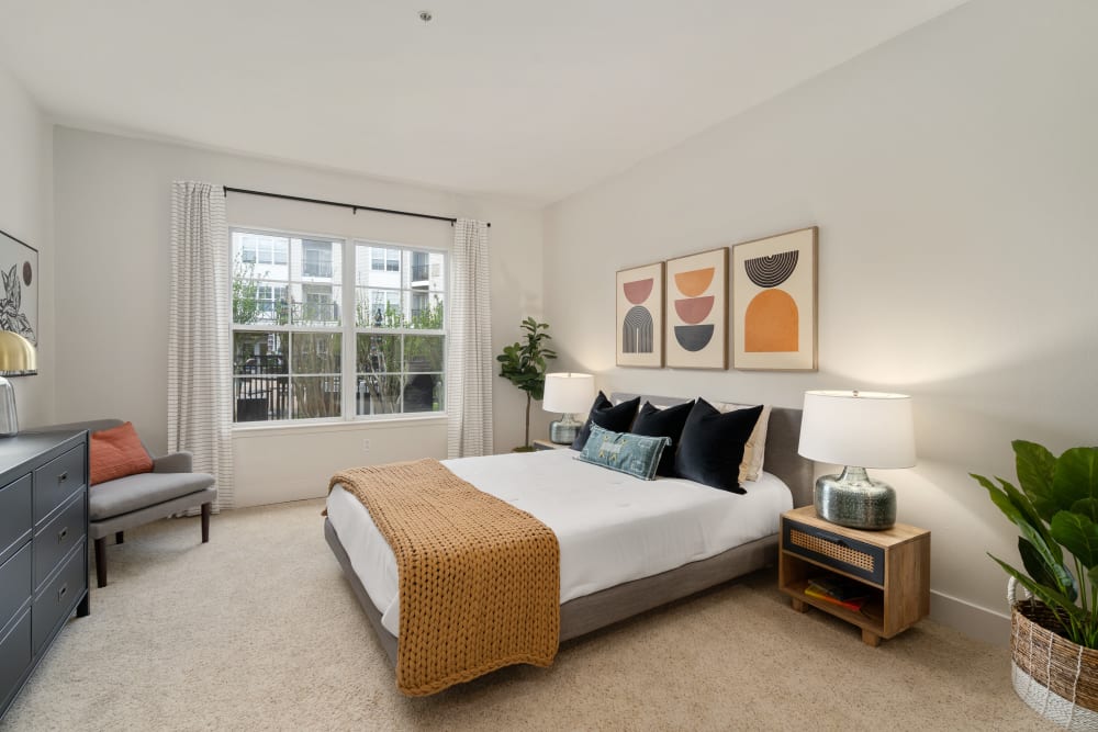 Large bedroom with a walk-in closet at Sofi Parc Grove in Stamford, Connecticut
