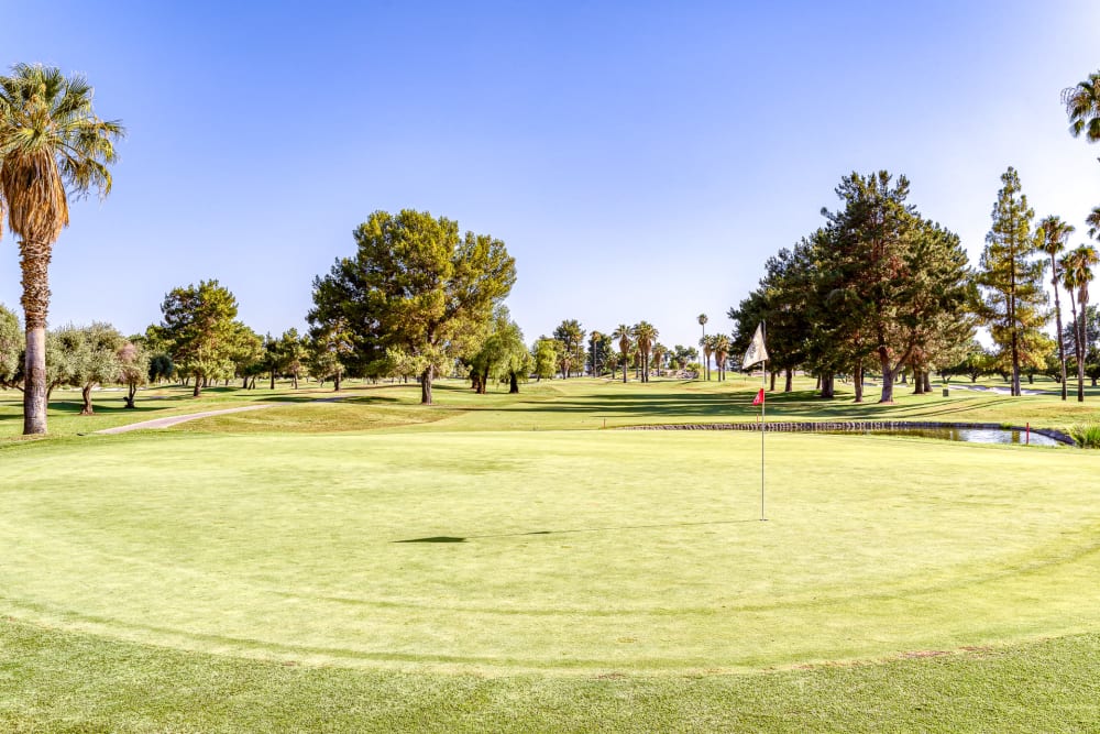 Gold course near Pacifica Senior Living Hemet in Hemet, California