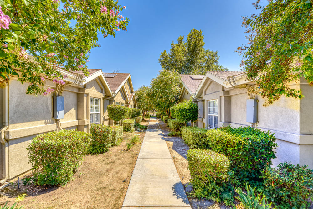 Walkway to residences at Pacifica Senior Living Hemet in Hemet, California