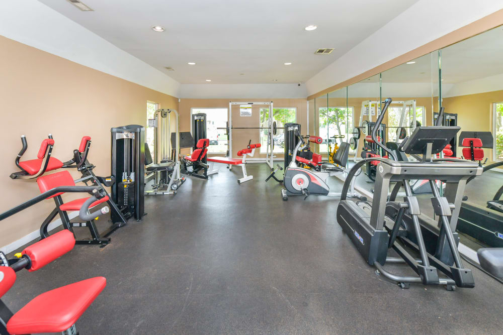 Large fitness center at The Oasis at Regal Oaks in Charlotte, North Carolina
