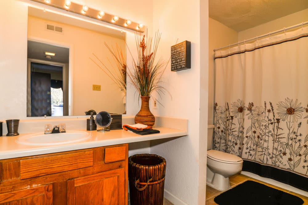 Bathroom with great lighting at Devonwood Apartment Homes in Charlotte, North Carolina