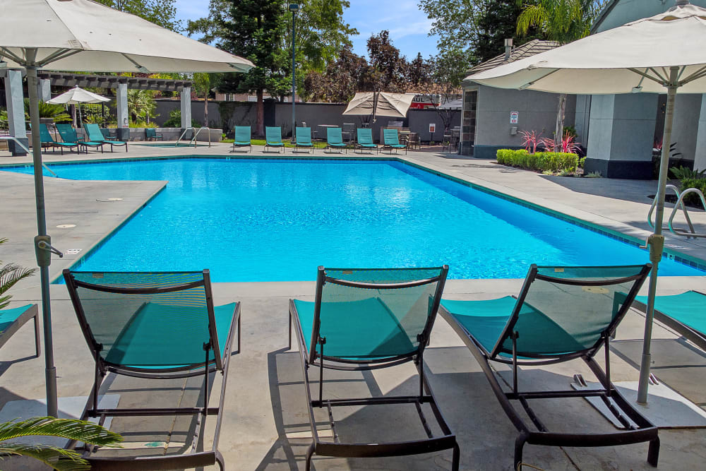 Beautiful resort-style swimming pool with lounge chairs at Avion Apartments in Rancho Cordova, California