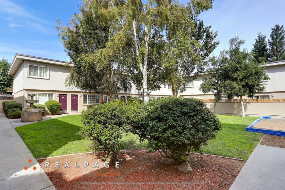 Lawn and trees outside of Whitman Villa Townhomes and Apartments in Hayward, California
