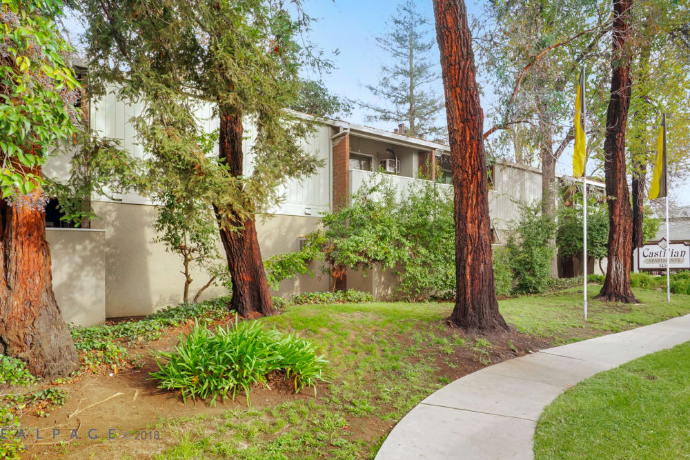 Walking path at Castilian in Concord, California