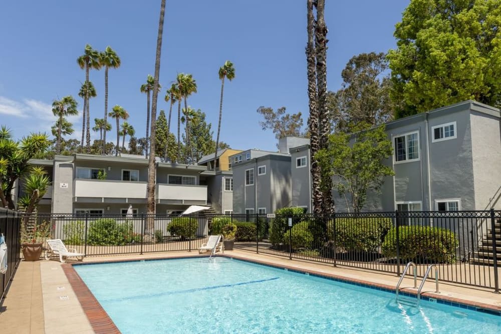Sparkling swimming pool at Adobe Lake Apartments in Concord, California