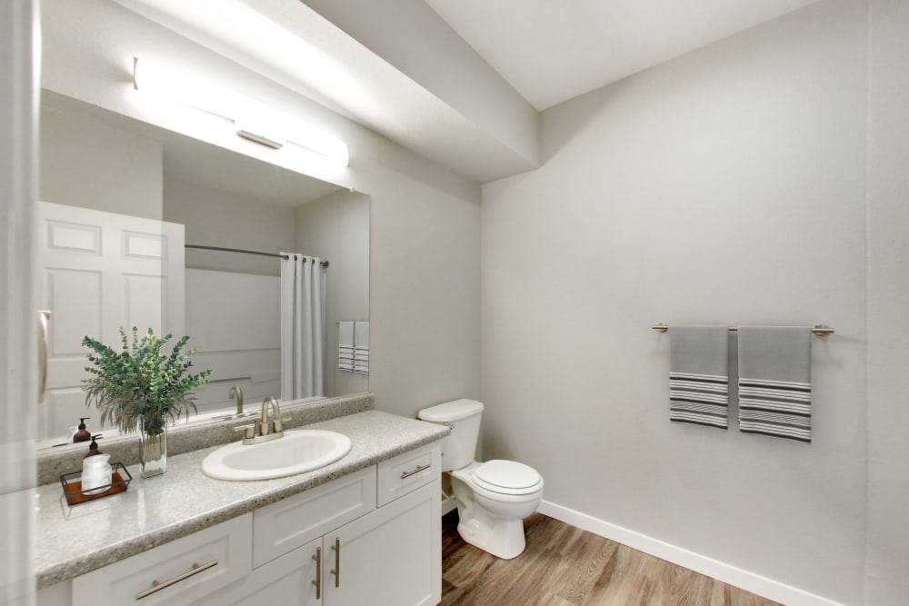 Renovated Bathroom at Natomas Park Apartments in Sacramento, California