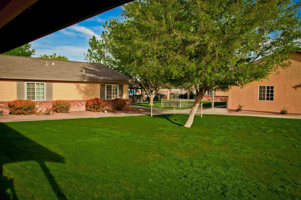 Courtyard and landscaping at Pacifica Senior Living Peoria in Peoria, Arizona