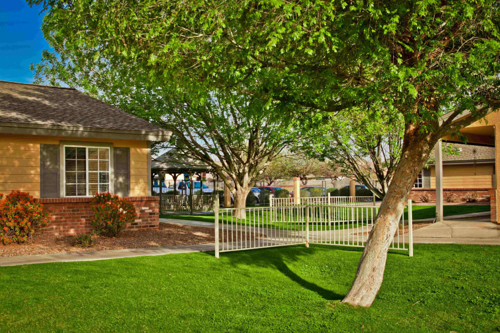 Looking across the lawn at Pacifica Senior Living Peoria in Peoria, Arizona
