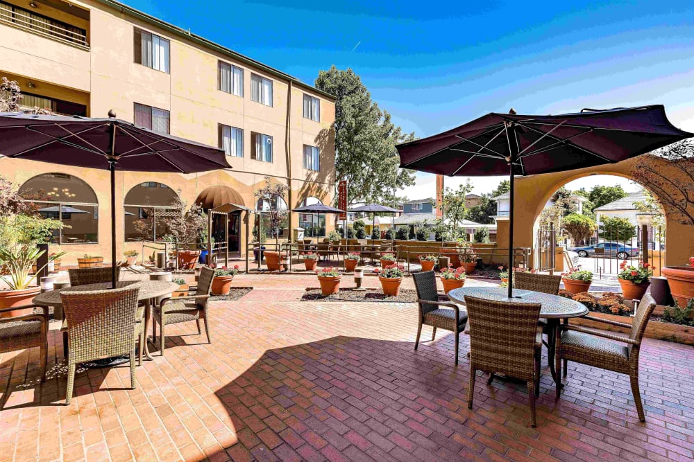 Outdoor patio and shaded seating at Pacifica Senior Living San Leandro in San Leandro, California